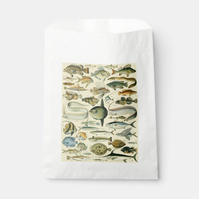 Bolsa De Papel Arte de pesca científica de peces de época (Anverso)