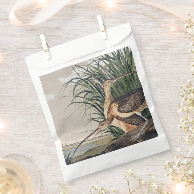 Bolsa De Papel Ave Audubon (Cortado)