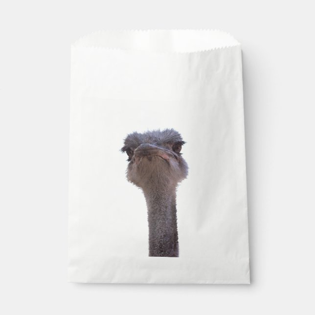 Bolsa De Papel avestruz (Anverso)