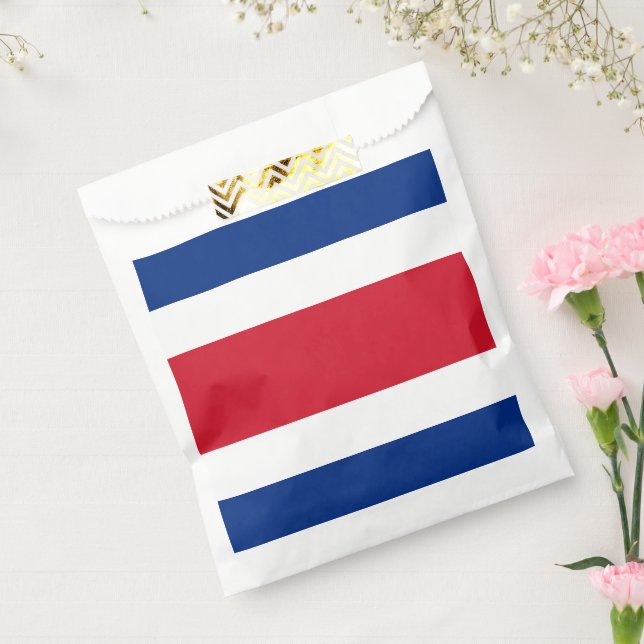 Bolsa De Papel Bandera de Costa Rica (Sellado)