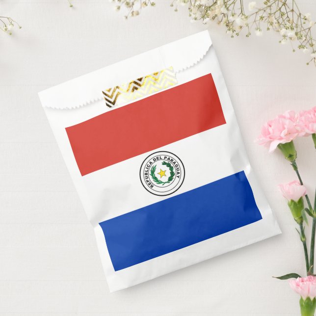 Bolsa De Papel bandera de Paraguay (Sellado)