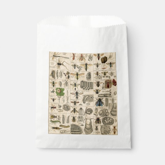 Bolsa De Papel Bee Insect Bug Wasp Naturaleza Abejas Pintura (Anverso)