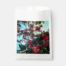 Bolsa De Papel Bellas rojas