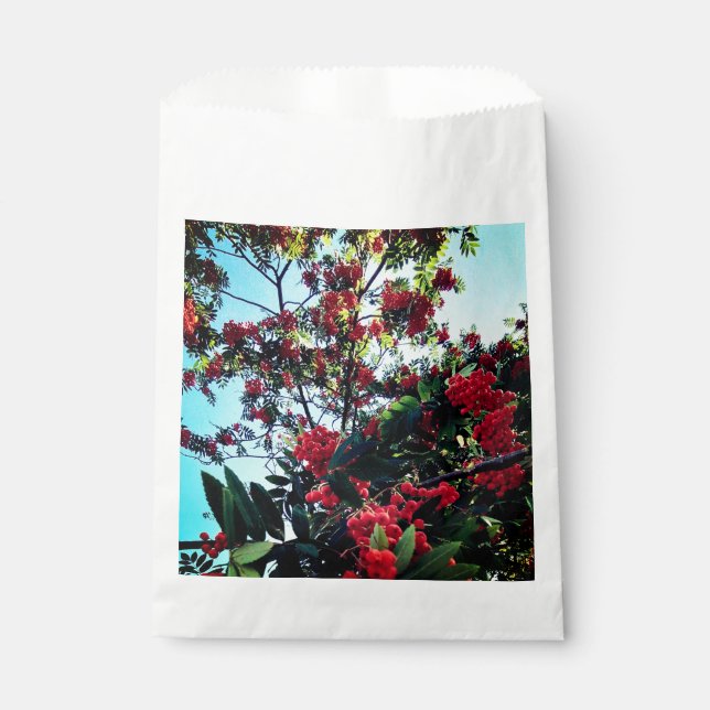 Bolsa De Papel Bellas rojas (Anverso)