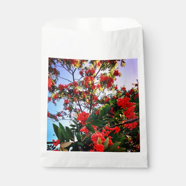 Bolsa De Papel Bellas rojas (Anverso)