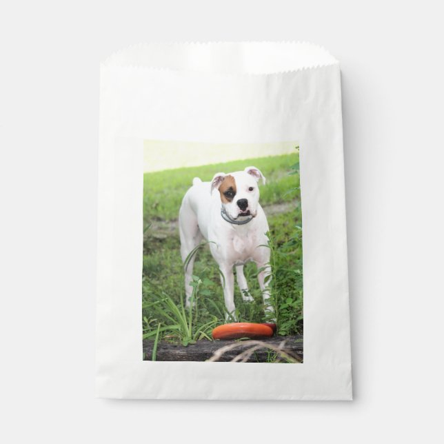 Bolsa De Papel Boxeador (Anverso)