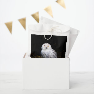 Bolsa De Papel Búho nival invernal majestuoso