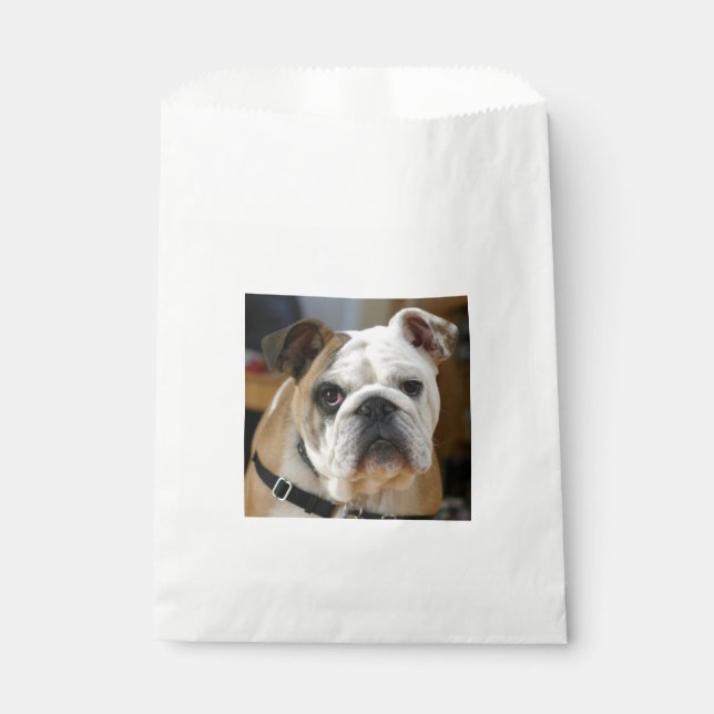 Bolsa De Papel Bulldog.png (Anverso)