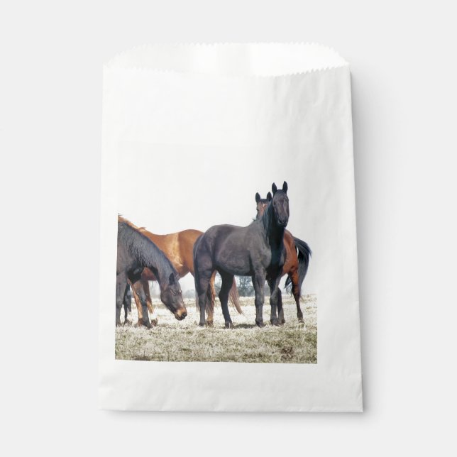 BOLSA DE PAPEL CABALLOS (Anverso)