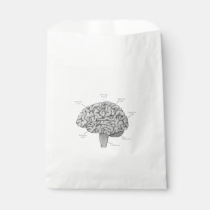 Bolsa De Papel Cerebro Científico