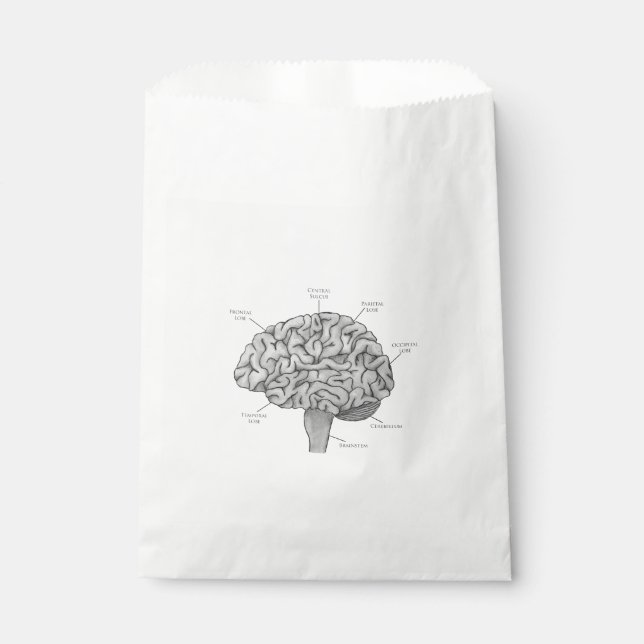 Bolsa De Papel Cerebro Científico (Anverso)
