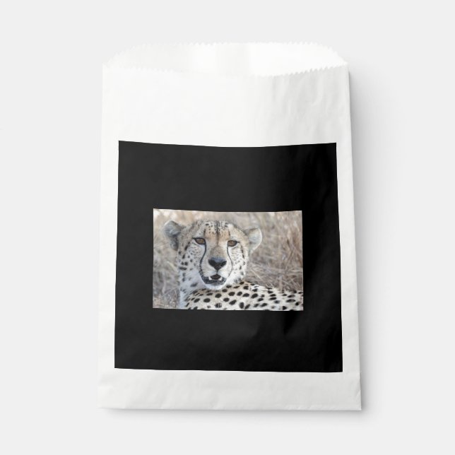 Bolsa De Papel Cheetah Portrait (Anverso)