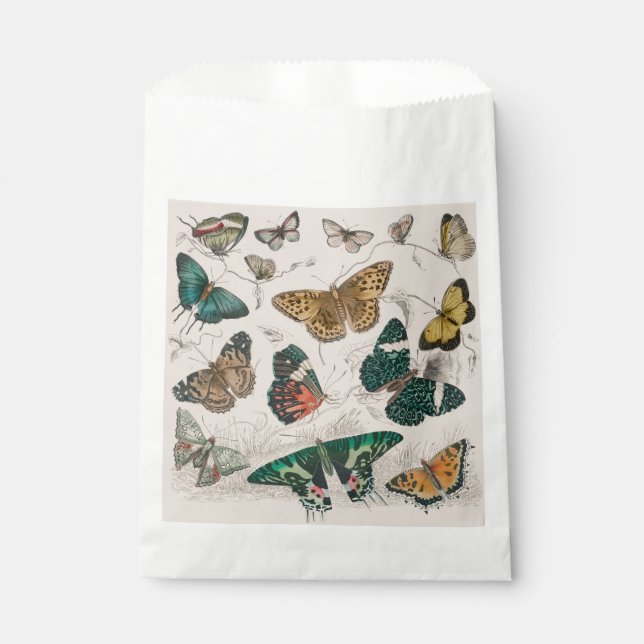 Bolsa De Papel Colección de mariposa Mariposas antiguas (Anverso)