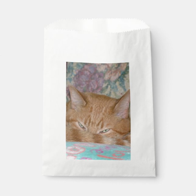 Bolsa De Papel Colocación (Anverso)