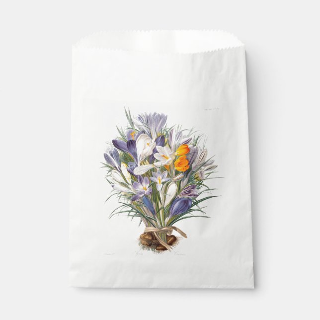 Bolsa De Papel Crocus Spring Flower Botanical Floral Art (Anverso)