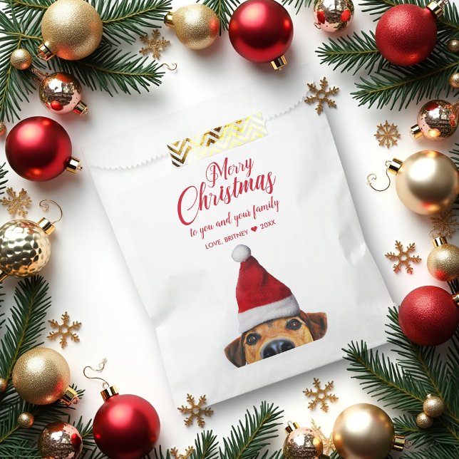 Bolsa De Papel Curioso perro gracioso con Santa Hat (Subido por el creador)