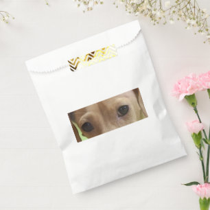 Bolsa De Papel Dachshund Eyes Cream