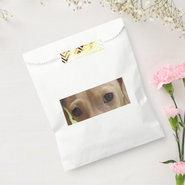 Bolsa De Papel Dachshund Eyes Cream (Sellado)