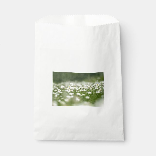 Bolsa De Papel Daisy Meadow (Anverso)