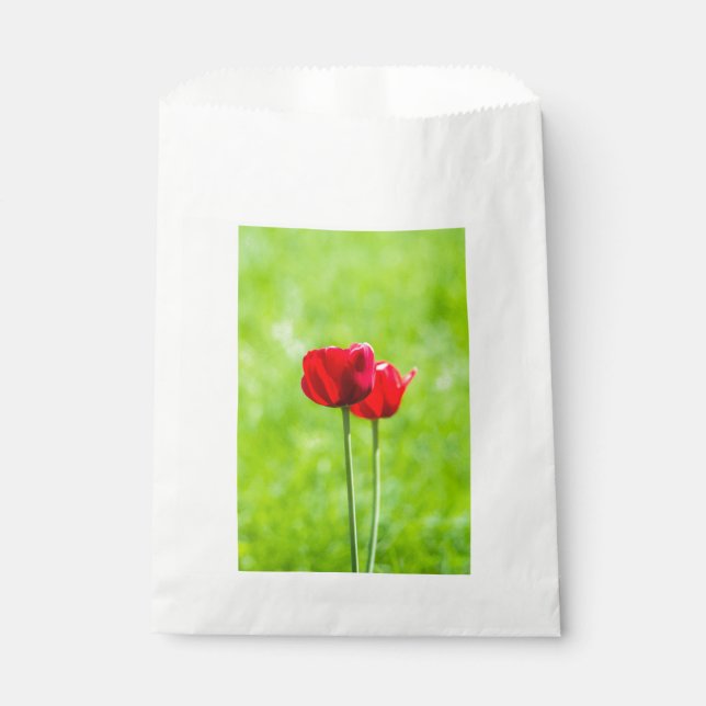 Bolsa De Papel Dos flores de tulipán rojas (Anverso)