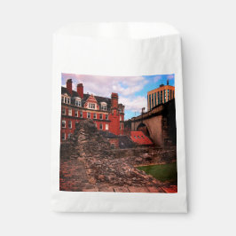 Bolsa De Papel Edificios de Newcastle