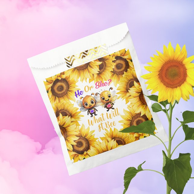 Bolsa De Papel El género revela qué será la ducha (Gender Reveal He or She What Will It Bee Shower Favor Bag)
