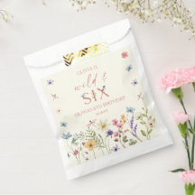 Fiesta de cumpleaños número 6 de Wild and Six Wild