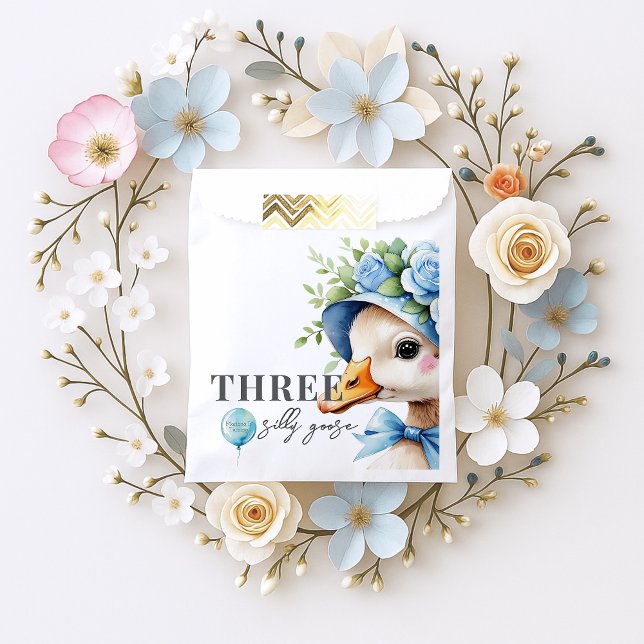 Bolsa De Papel Floral Coquette Bow Silly Goose Boy Birthday  (Subido por el creador)