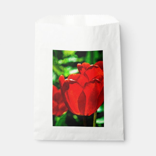 Bolsa De Papel Flores de tulipán rojas (Anverso)