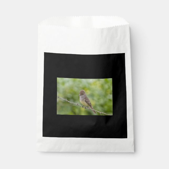 Bolsa De Papel Flycatcher (Anverso)