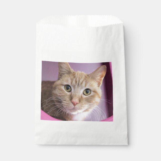 Bolsa De Papel Gato (Anverso)