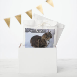 Bolsa De Papel gato del bosque noruego en la nieve
