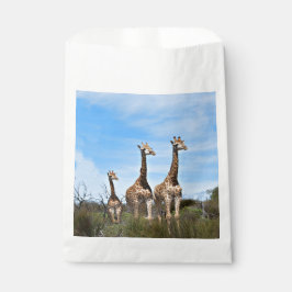 Bolsa De Papel Growing Tall Safari Joy