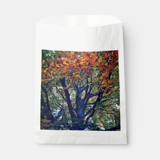 Bolsa De Papel hojas naranjas (Anverso)