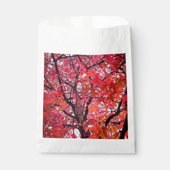 Bolsa De Papel Hojas rosadas (Anverso)