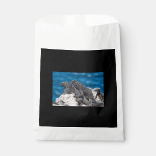 Bolsa De Papel Iguana marina