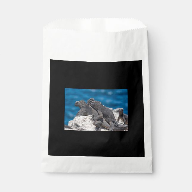 Bolsa De Papel Iguana marina (Anverso)