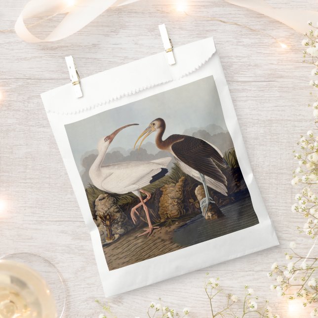 Bolsa De Papel John James Audubon White Ibis Bird Print Classic (Cortado)