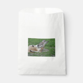 Bolsa De Papel Kangaroo