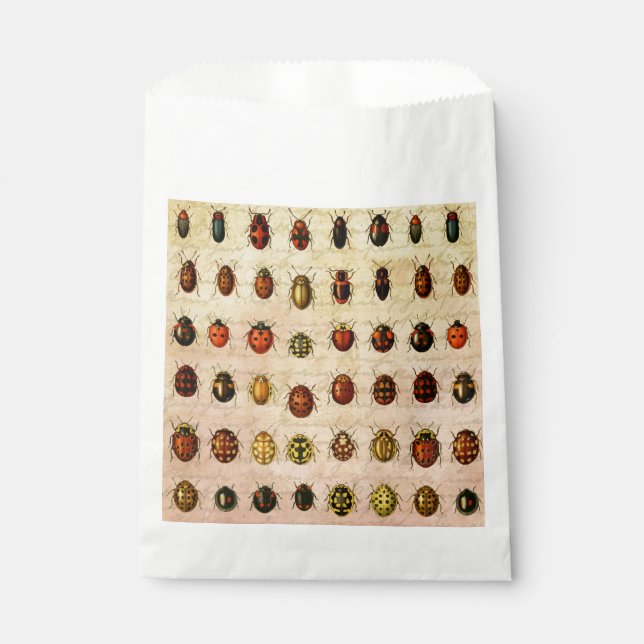 Bolsa De Papel Ladybug Ladybird Beetle Insect Bug (Anverso)