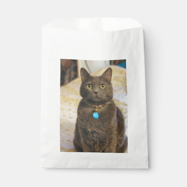 Bolsa De Papel Mims (Anverso)