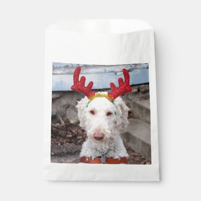 Bolsa De Papel Navidades Ollie (Anverso)