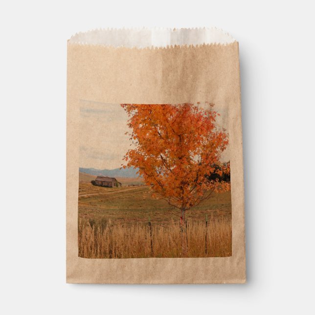 Bolsa De Papel Octubre Brillante  (Anverso)