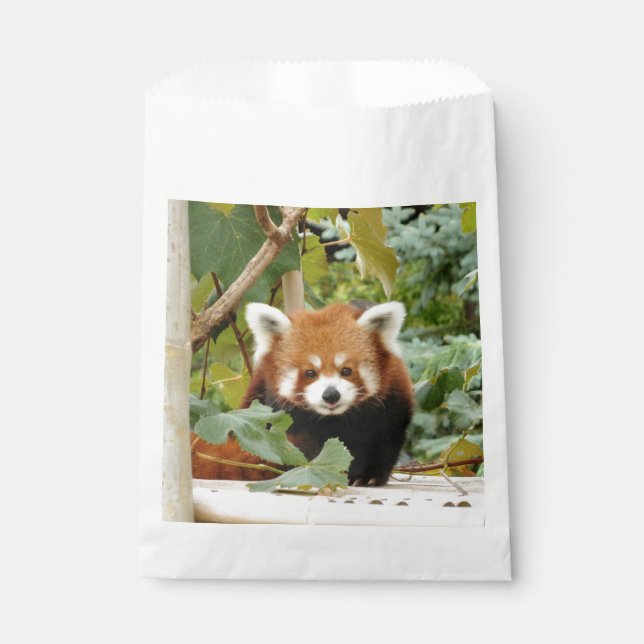 Bolsa De Papel Panda rojo (Anverso)