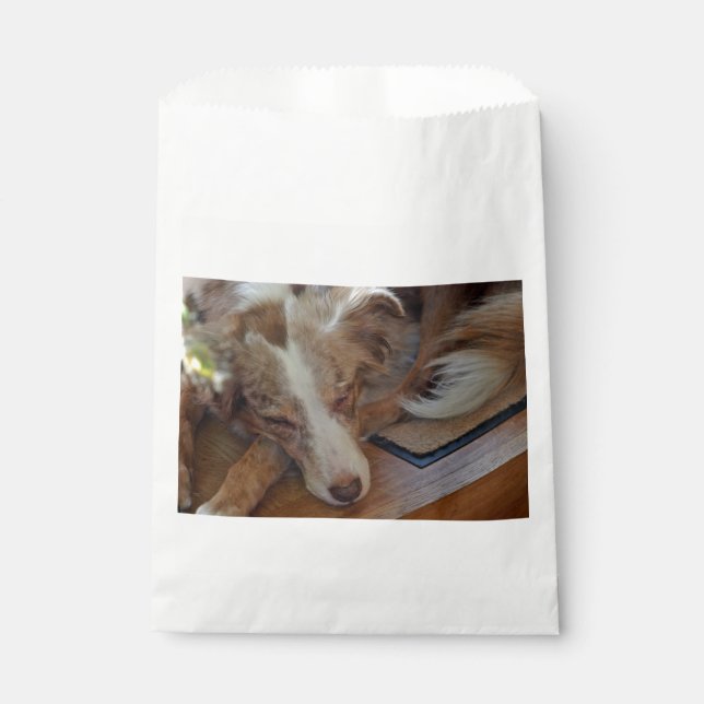 Bolsa De Papel pastor australiano de merle rojo durmiendo (Anverso)