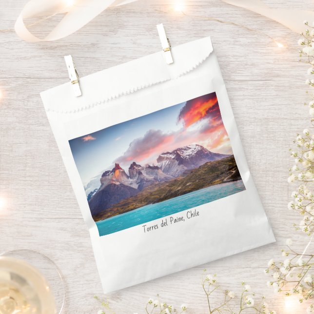 Bolsa De Papel Patagonia (Cortado)