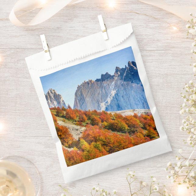 Bolsa De Papel Patagonia (Cortado)