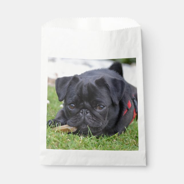 Bolsa De Papel pug negro acostado (Anverso)