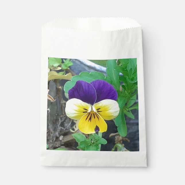 Bolsa De Papel Púrpura y amarilla (Anverso)