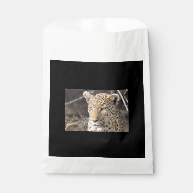 Bolsa De Papel Retrato leopardo (Anverso)